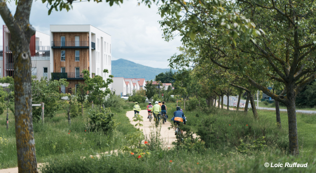 image de présentation