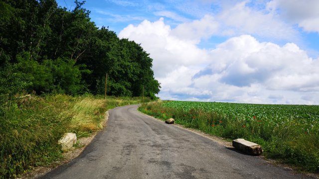 image de présentation