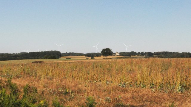 image de présentation