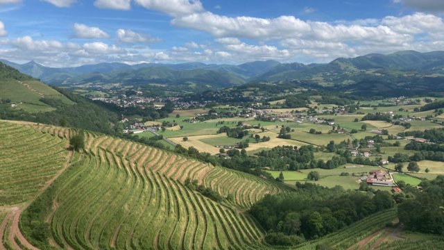 image de présentation