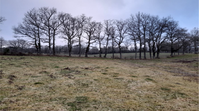 image de présentation