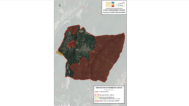 image de présentation