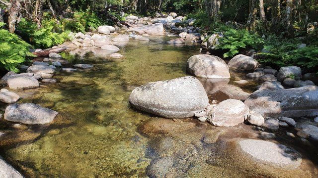 image de présentation