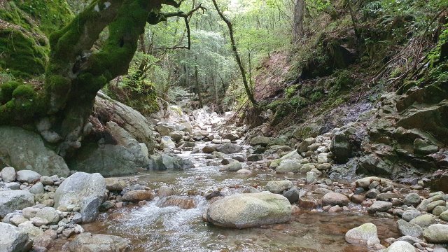 image de présentation