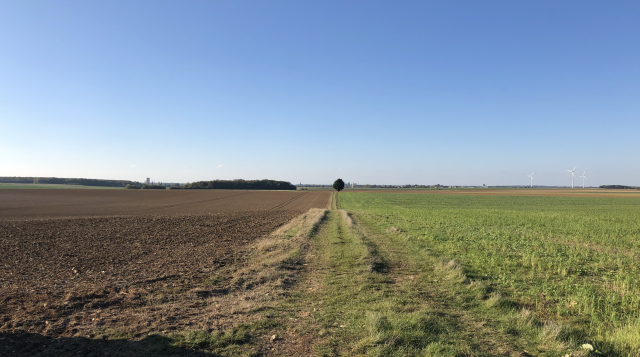 image de présentation