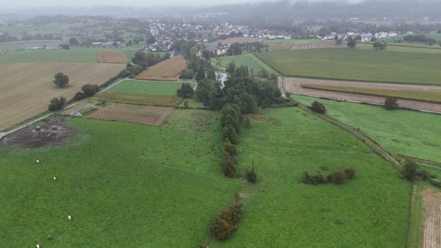 image de présentation