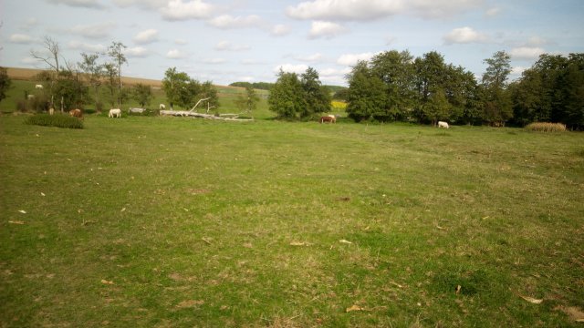 image de présentation