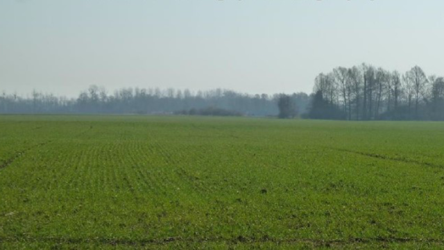 image de présentation