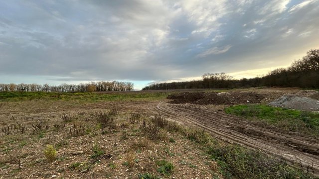 image de présentation