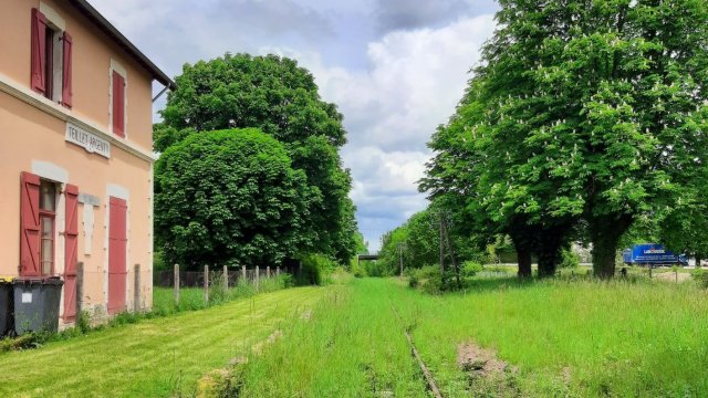 image de présentation