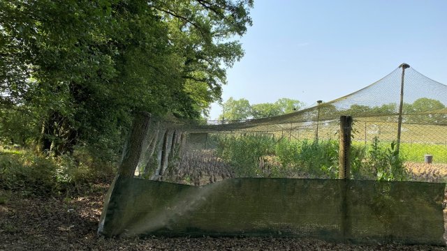 image de présentation