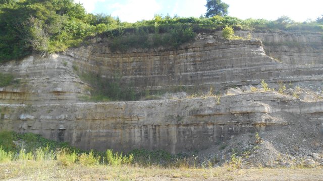 image de présentation