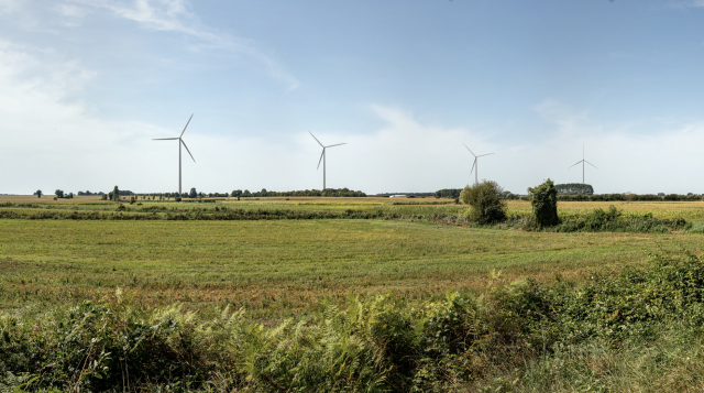 image de présentation