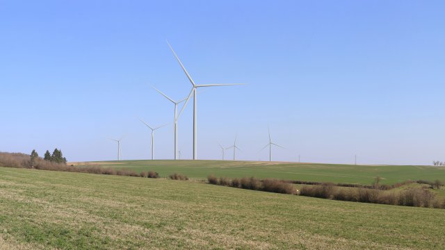 image de présentation