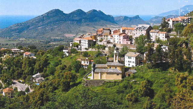 image de présentation