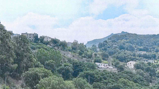 image de présentation