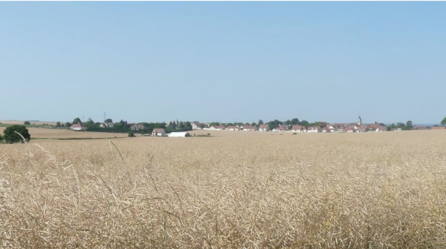 image de présentation