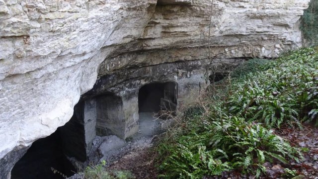 image de présentation