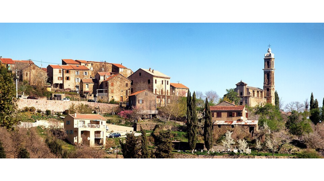 image de présentation