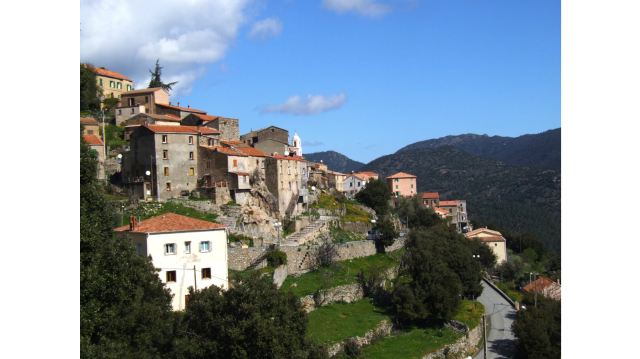 image de présentation