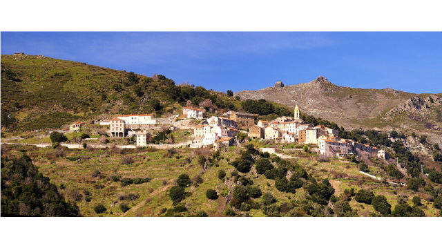 image de présentation