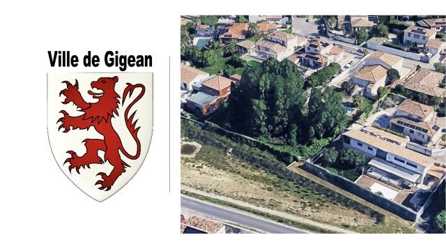 image de présentation