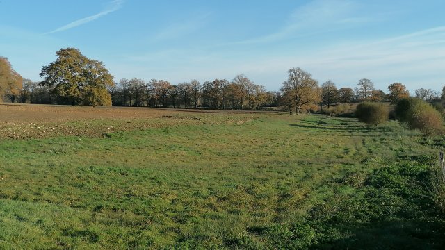 image de présentation