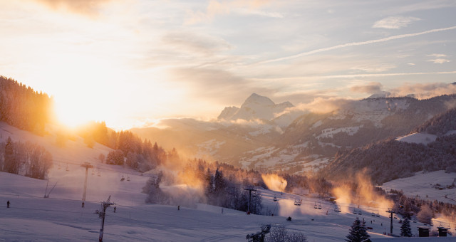 image de présentation