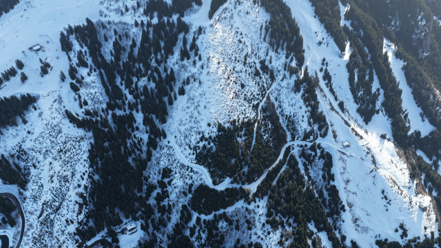 image de présentation