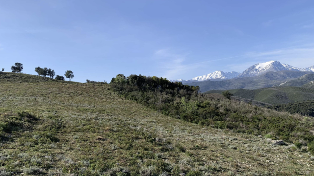 image de présentation