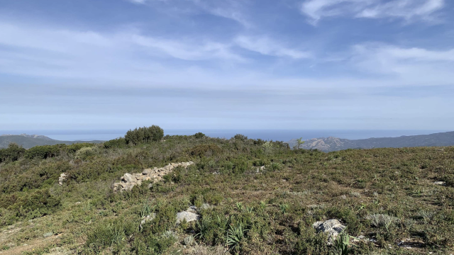 image de présentation