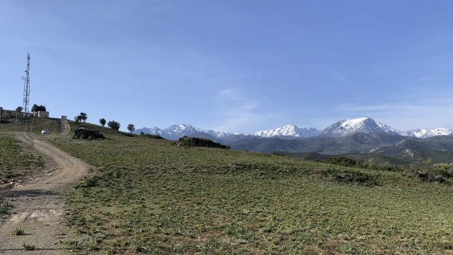 image de présentation