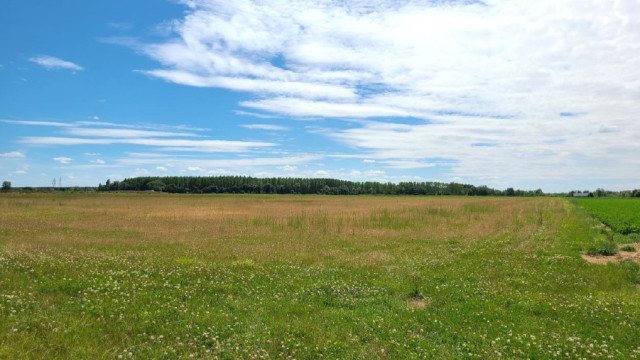 image de présentation