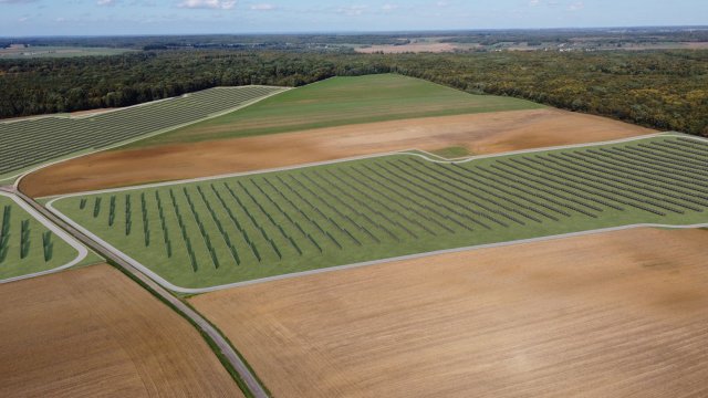 image de présentation