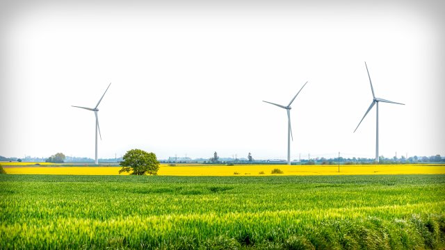 image de présentation