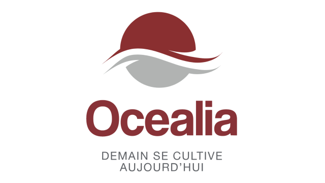 image de présentation