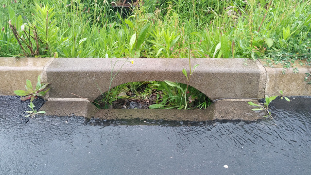 image de présentation