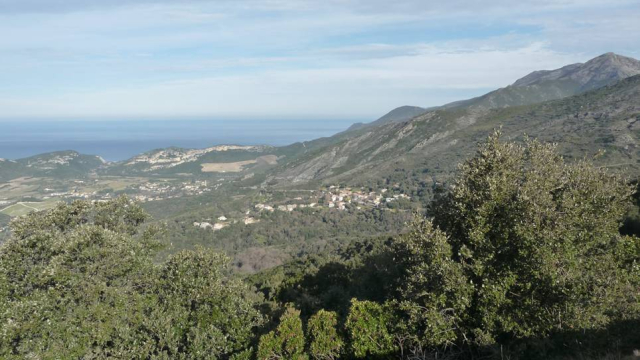 image de présentation