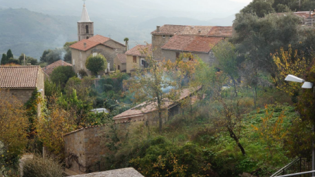 image de présentation