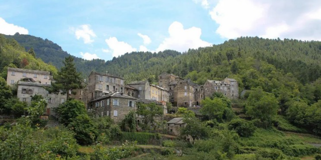 image de présentation