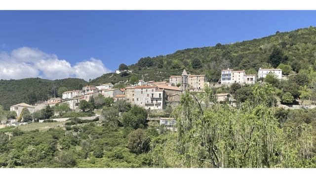 image de présentation