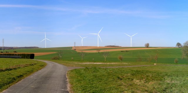 image de présentation