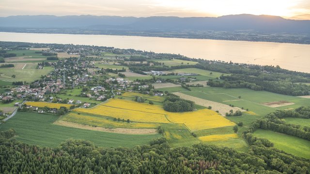 image de présentation