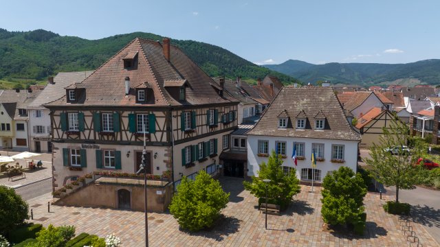 image de présentation