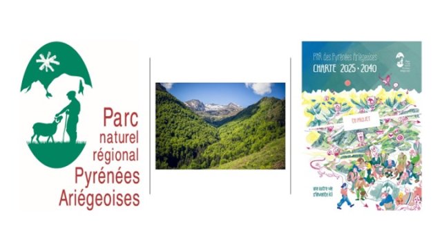 image de présentation