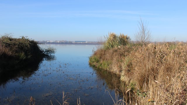 image de présentation