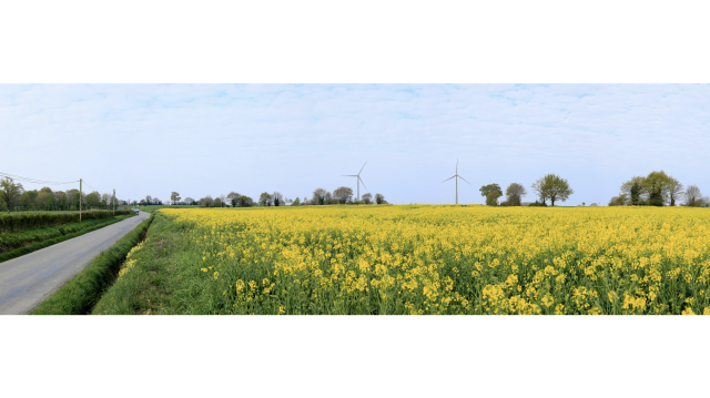 image de présentation