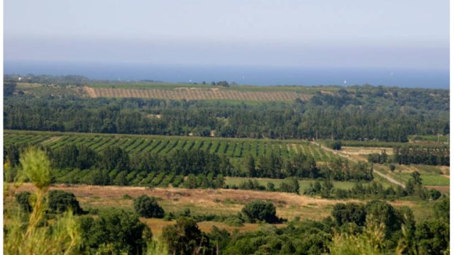 image de présentation