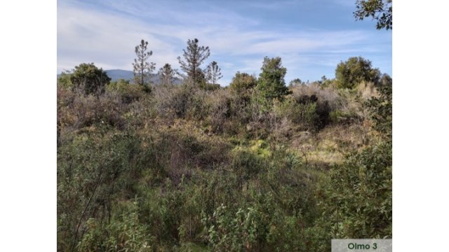 image de présentation