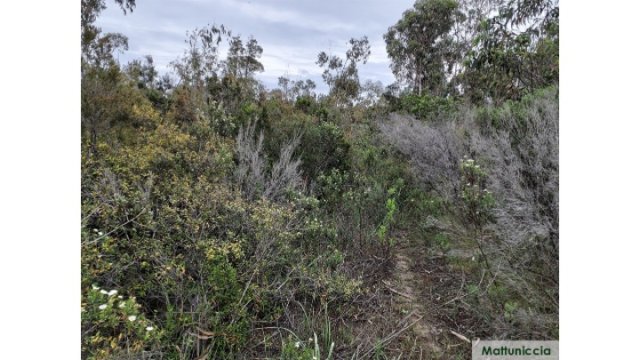 image de présentation